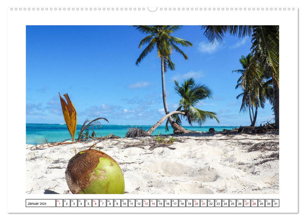 Dominikanische Karibik (CALVENDO Wandkalender 2024)