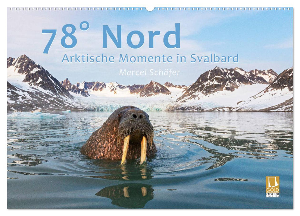 78° Nord - Arktische Momente in Svalbard (CALVENDO Wandkalender 2024)