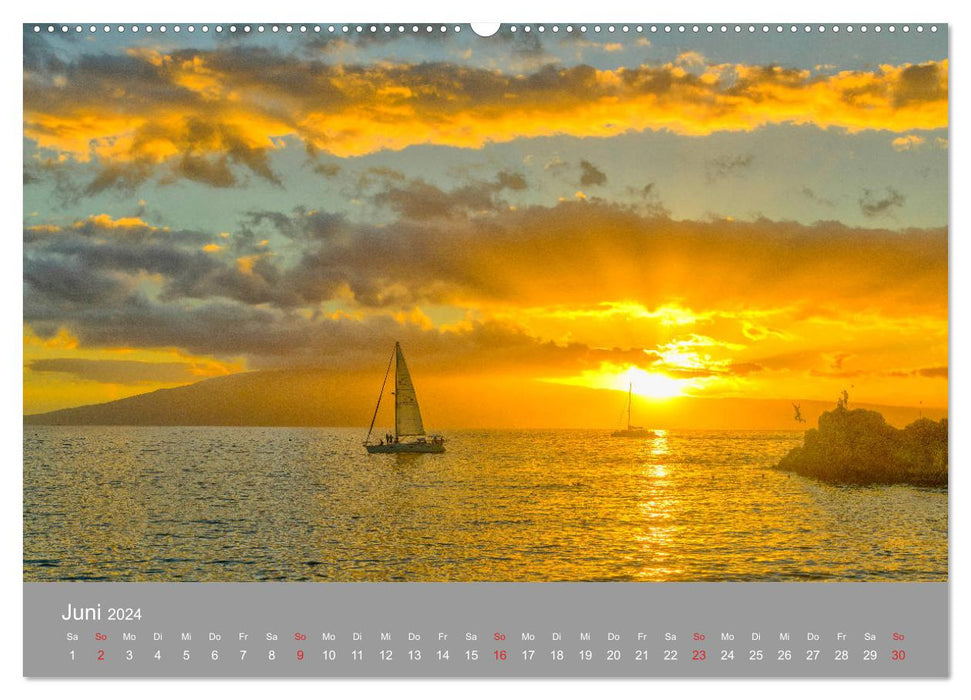 SPIRIT OF HAWAII (CALVENDO Premium Wandkalender 2024)