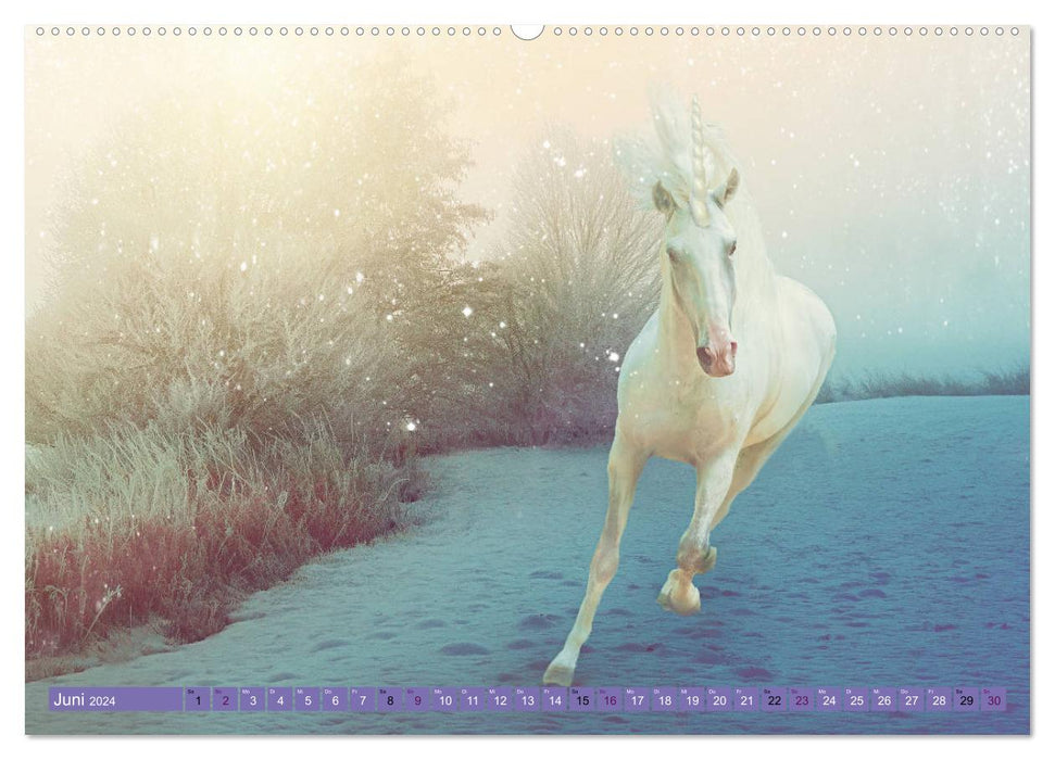 Unicorn World - images de licorne de rêve (calendrier mural CALVENDO 2024) 