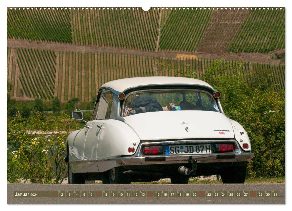 Citroën DS Déesse dans la vallée du Rhin moyen (calendrier mural CALVENDO 2024) 