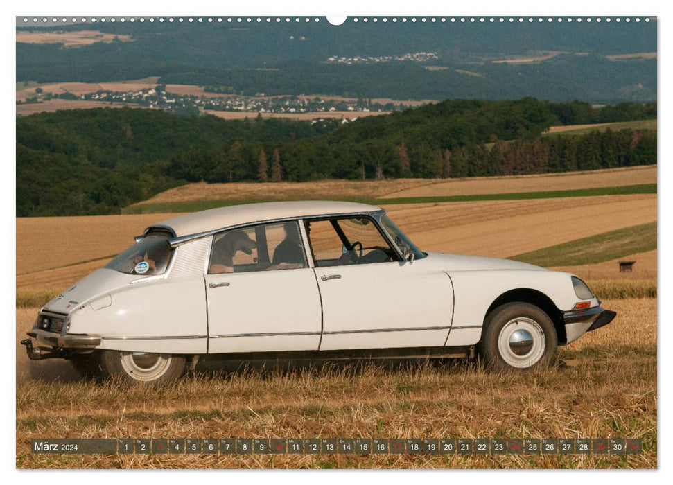 Citroën DS Déesse dans la vallée du Rhin moyen (calendrier mural CALVENDO 2024) 