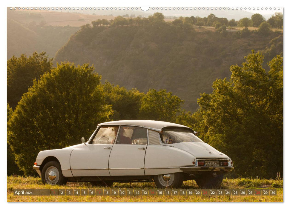 Citroën DS Déesse dans la vallée du Rhin moyen (calendrier mural CALVENDO 2024) 