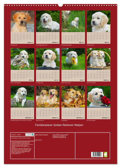 Jahresplaner Golden Retriever Welpen (CALVENDO Wandkalender 2024)