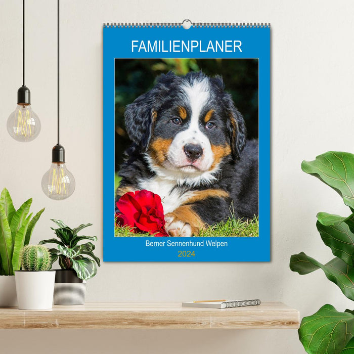 Familienplaner Berner Sennenhund Welpen (CALVENDO Wandkalender 2024)