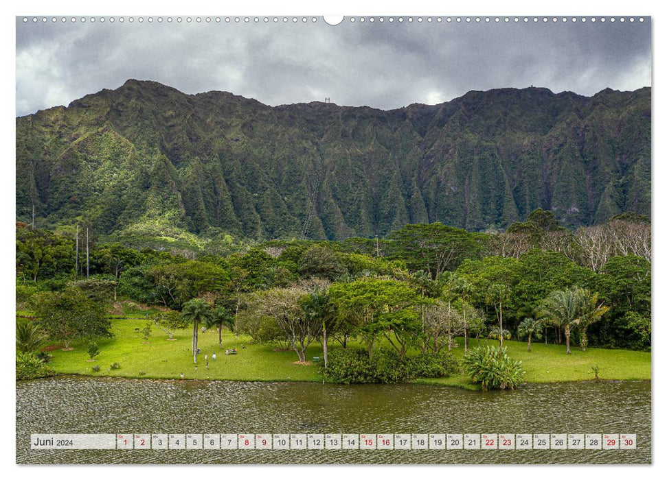 Aloha Hawaii (CALVENDO Premium Wandkalender 2024)