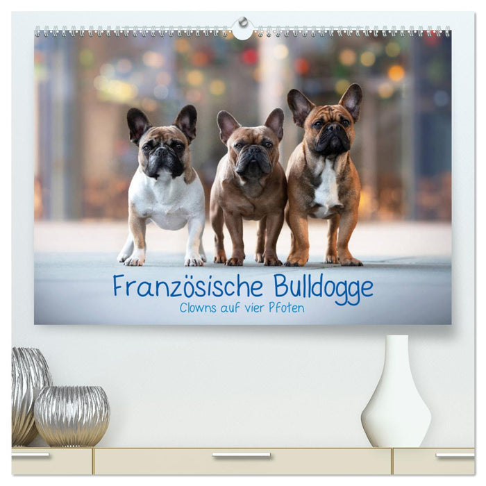 Französische Bulldogge - Clowns auf vier Pfoten (CALVENDO Premium Wandkalender 2024)