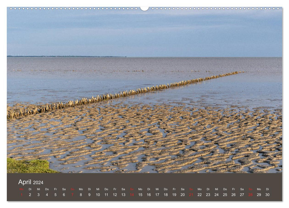 Römö - Wasser, Wind und endloser Strand (CALVENDO Premium Wandkalender 2024)