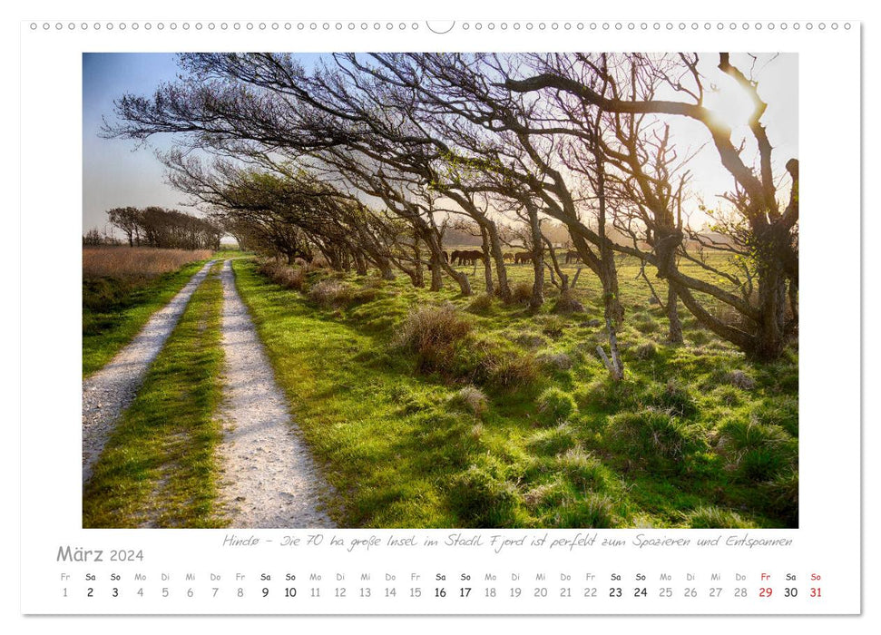 Longing for West Jutland (CALVENDO Premium Wall Calendar 2024) 