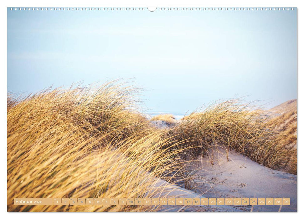 Jutland - Denmark's North Sea coast (CALVENDO Premium Wall Calendar 2024) 