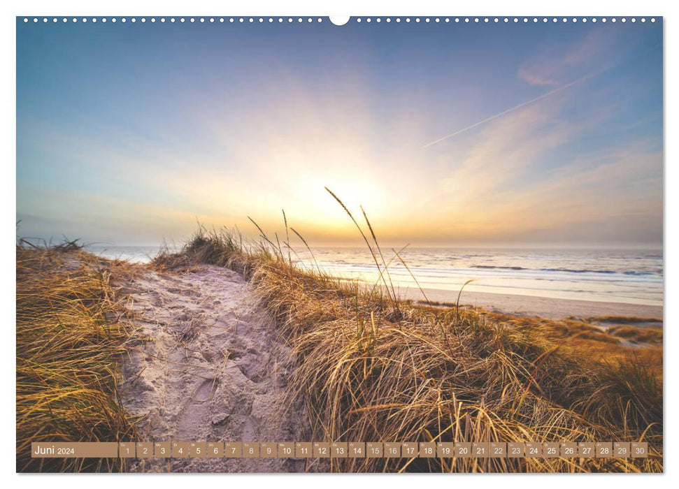 Jutland - Denmark's North Sea coast (CALVENDO Premium Wall Calendar 2024) 