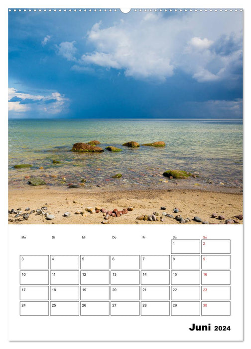 Insel Rügen - Wilde Schönheit an der Ostsee (CALVENDO Premium Wandkalender 2024)