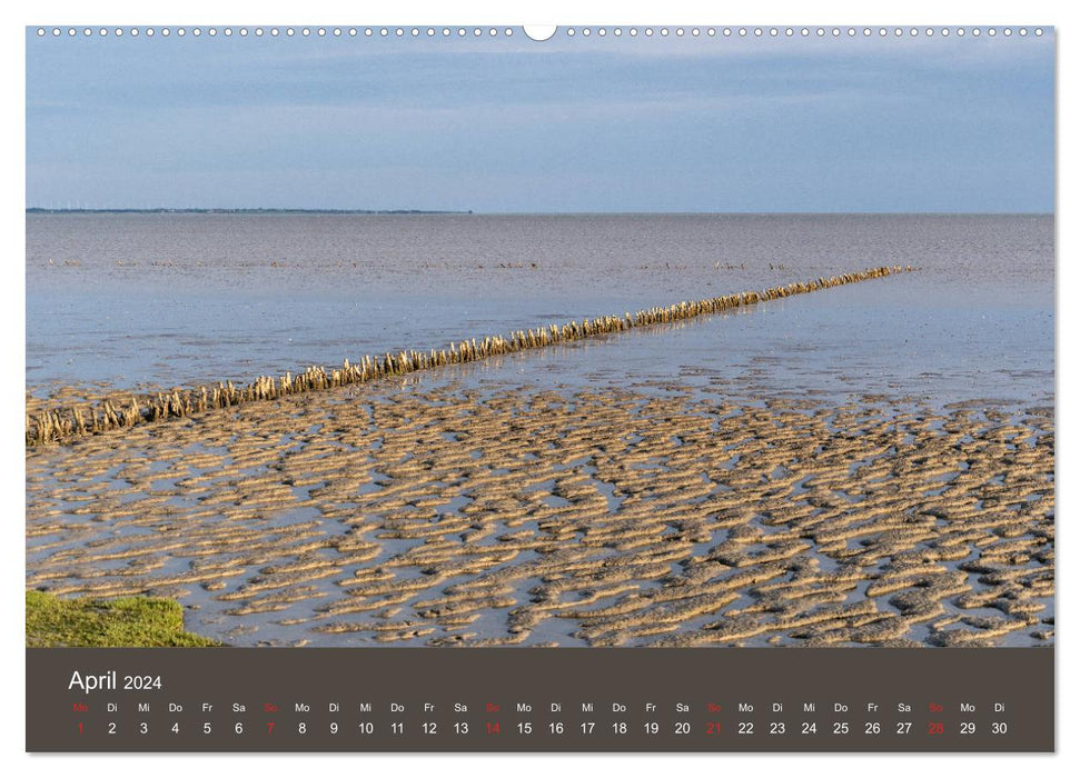 Römö - eau, vent et plage sans fin (calendrier mural CALVENDO 2024) 