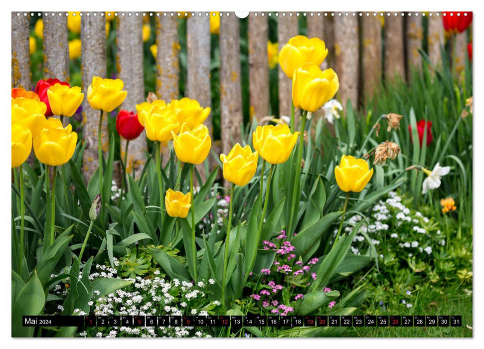 Small flowers really big (CALVENDO wall calendar 2024) 