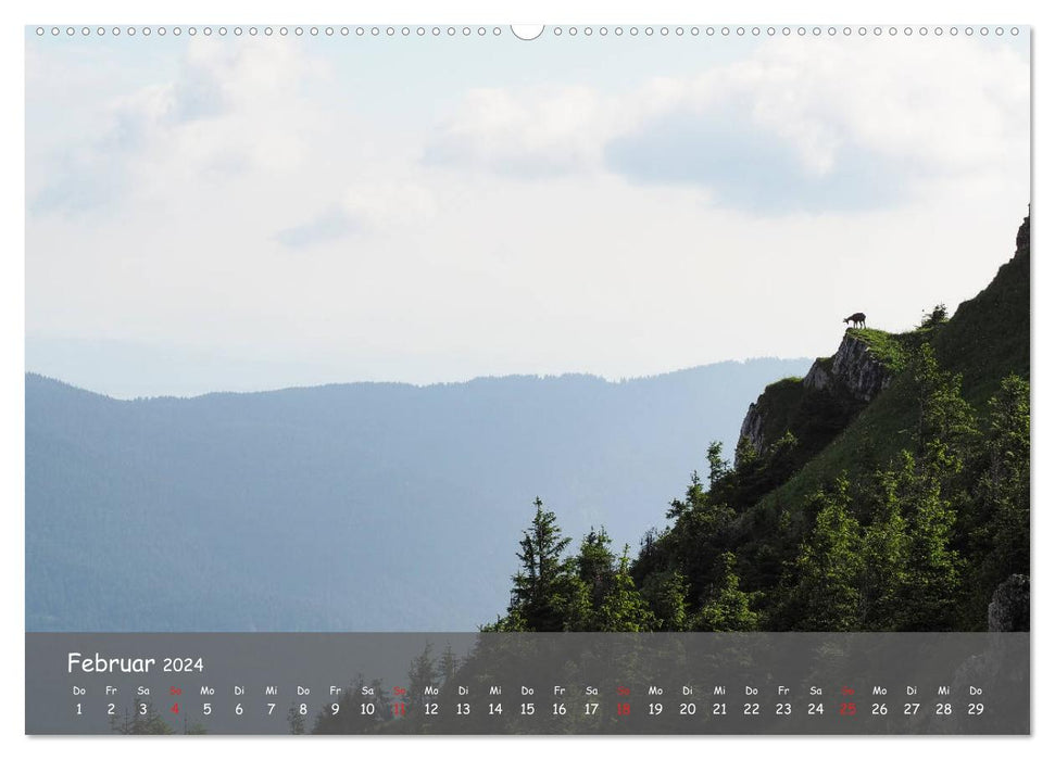 Ammergau Alps (CALVENDO Premium Wall Calendar 2024) 
