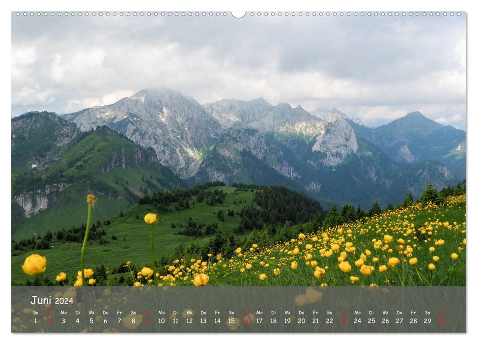 Alpes d'Ammergau (Calvendo Premium Calendrier mural 2024) 