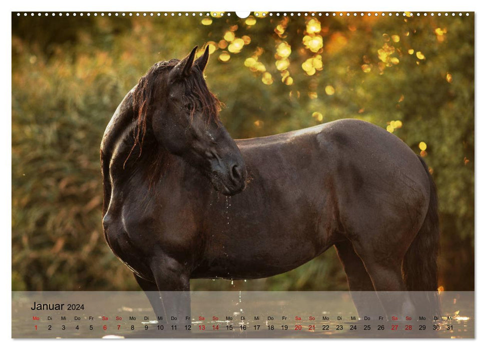 Pferdezauber 2024 (CALVENDO Premium Wandkalender 2024)