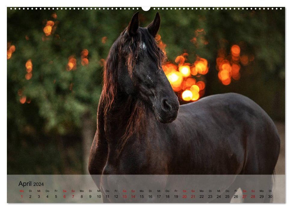 Pferdezauber 2024 (CALVENDO Premium Wandkalender 2024)