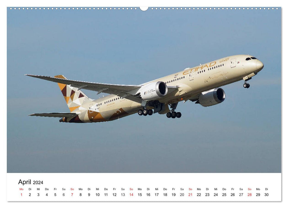 Die schönsten Airliner (CALVENDO Premium Wandkalender 2024)