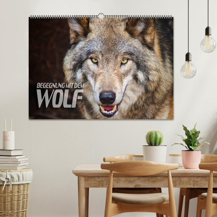 Begegnung mit dem Wolf (CALVENDO Wandkalender 2024)