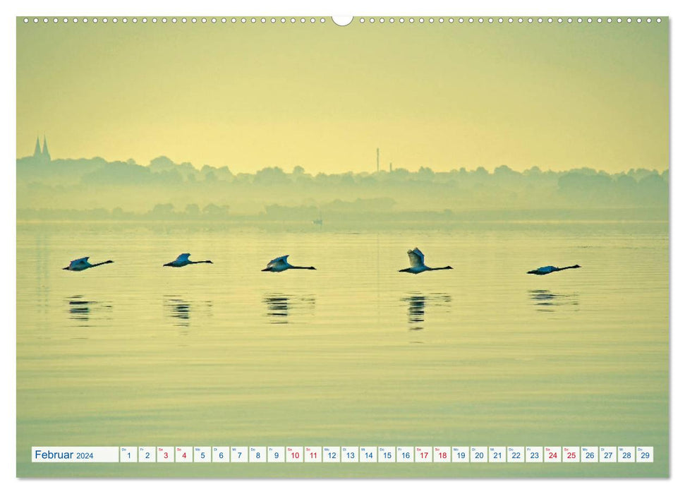 Flensburg Fjord (CALVENDO Premium Wandkalender 2024)