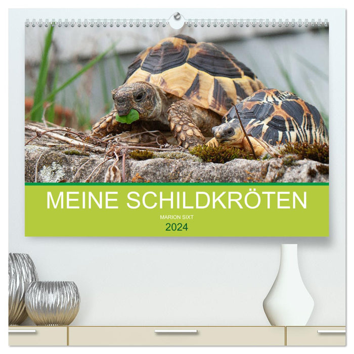 Meine Schildkröten (CALVENDO Premium Wandkalender 2024)