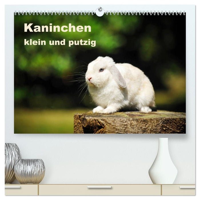 Kaninchen klein und putzig (CALVENDO Premium Wandkalender 2024)