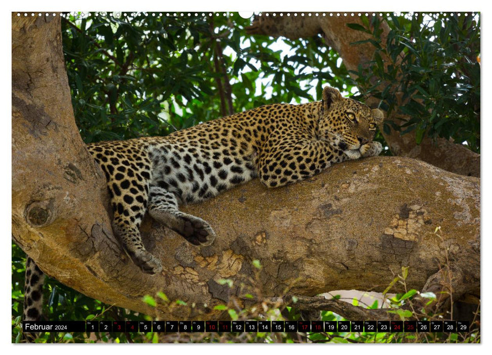 Tansania - Tierwanderung in der Serengeti (CALVENDO Premium Wandkalender 2024)