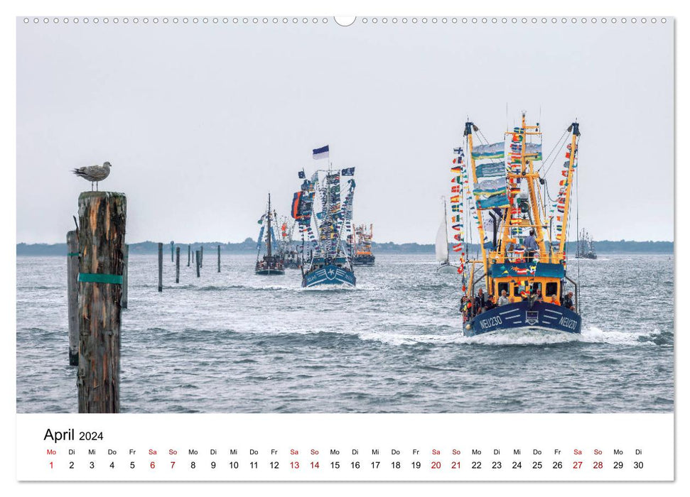 Wilhelmshaven und Umland - Idyllische Motive von Häfen, Meer und Landschaft (CALVENDO Premium Wandkalender 2024)