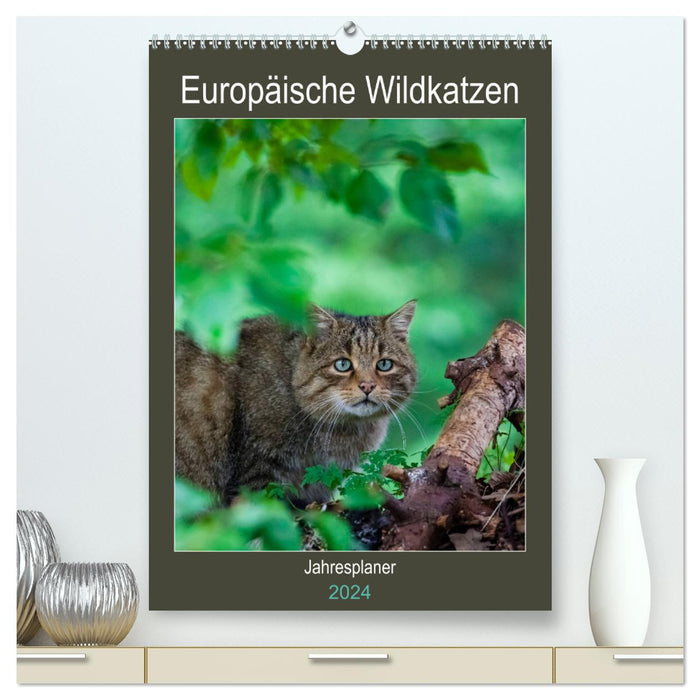 Europäische Wildkatzen - Jahresplaner (CALVENDO Premium Wandkalender 2024)