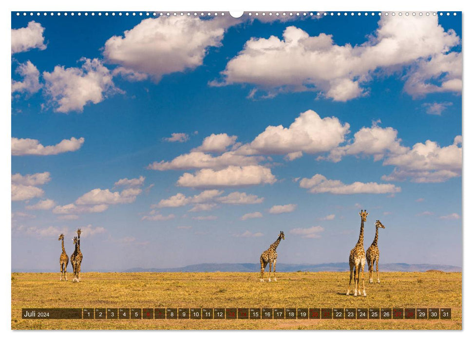 Auf Safari in Kenia 2024 (CALVENDO Premium Wandkalender 2024)