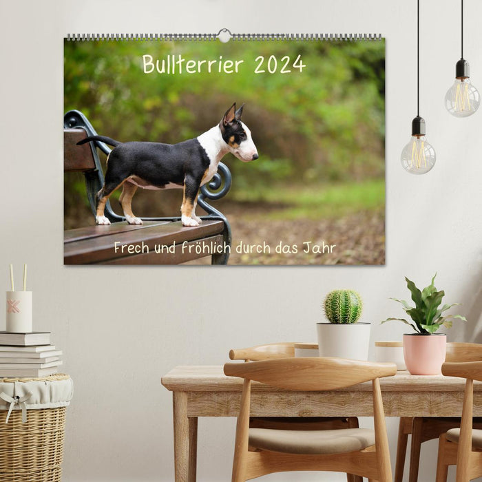 Bullterrier 2024 Frech und fröhlich durch das Jahr (CALVENDO Wandkalender 2024)