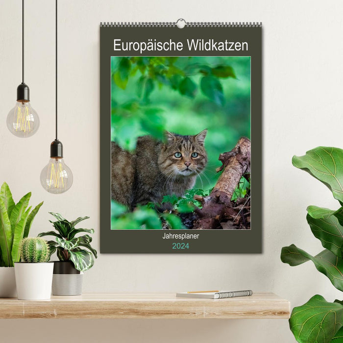 Europäische Wildkatzen - Jahresplaner (CALVENDO Wandkalender 2024)