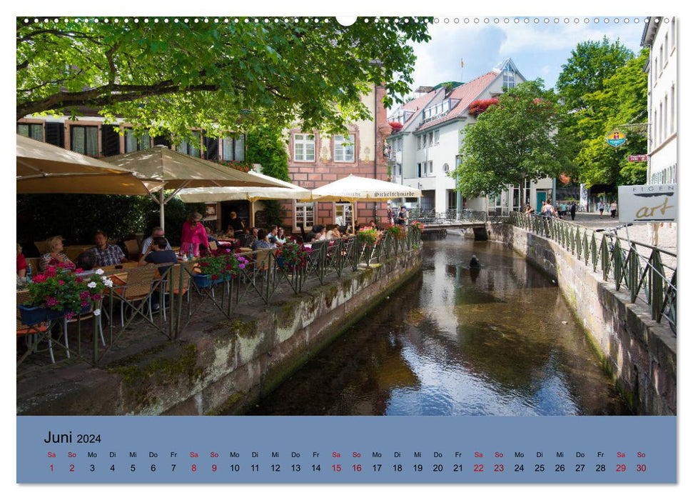 Wundervolles Freiburg (CALVENDO Wandkalender 2024)