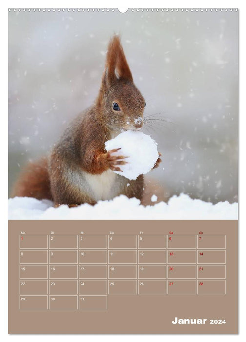 Eichhörnchen - Planer (CALVENDO Premium Wandkalender 2024)