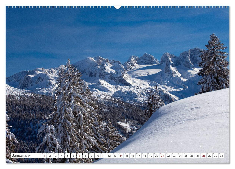 Schau eina in´s Salzkammergut (CALVENDO Premium Wandkalender 2024)