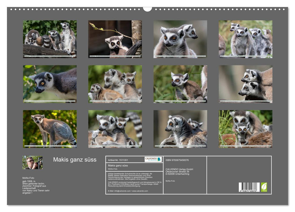 Makis ganz süss (CALVENDO Wandkalender 2024)