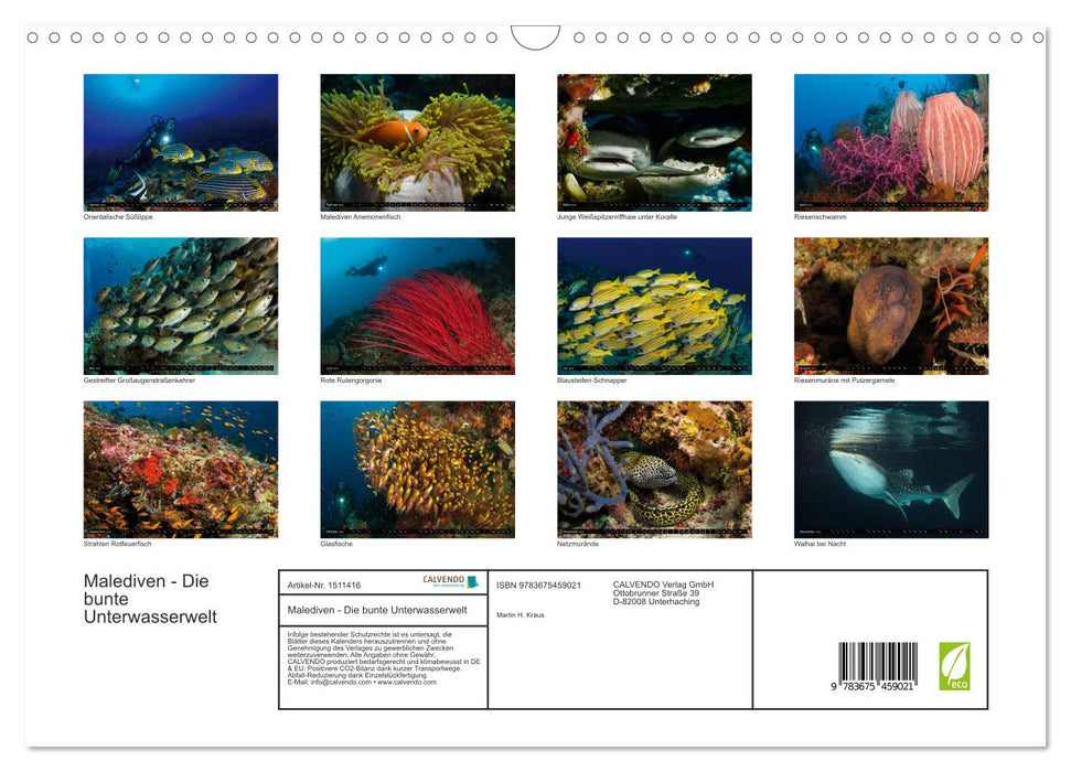 Malediven - Die bunte Unterwasserwelt (CALVENDO Wandkalender 2024)