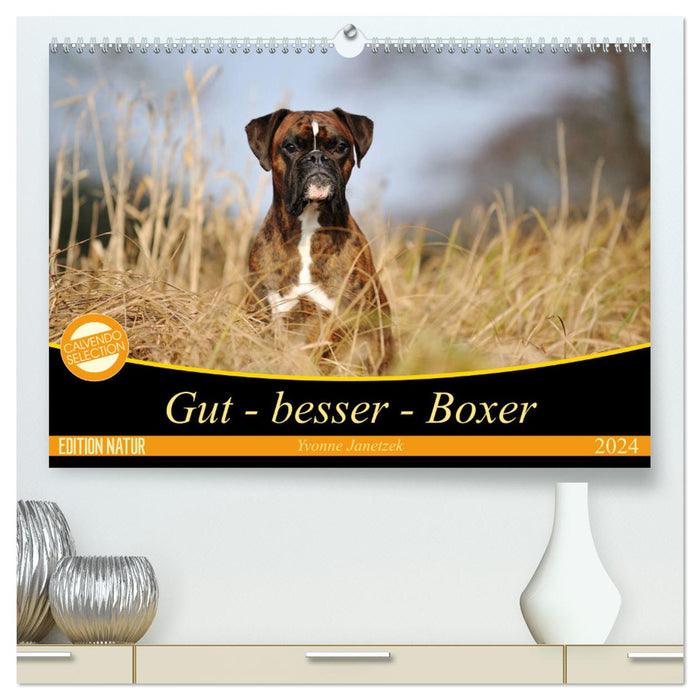 Gut - besser - Boxer (CALVENDO Premium Wandkalender 2024)