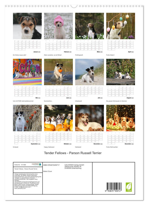 Tender Fellows - Parson Russell Terrier (CALVENDO Premium Wandkalender 2024)