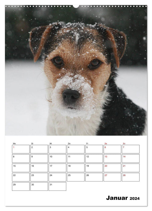 Tender Fellows - Parson Russell Terrier (CALVENDO Premium Wandkalender 2024)