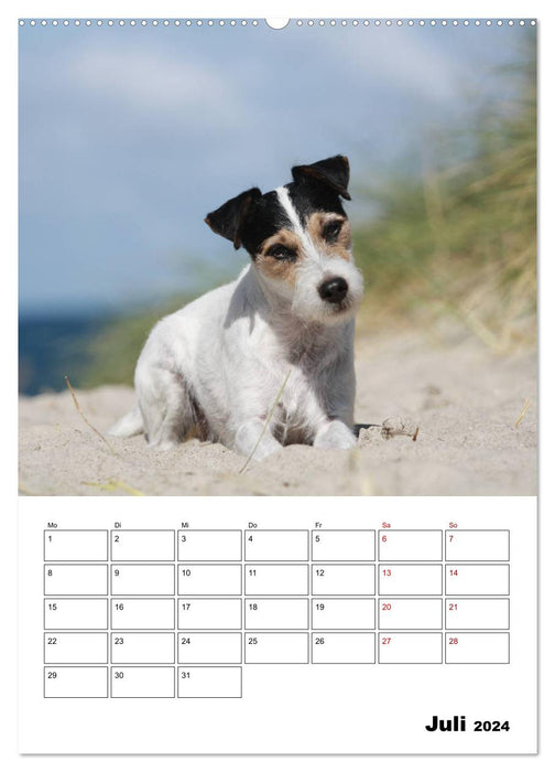 Tender Fellows - Parson Russell Terrier (CALVENDO Premium Wandkalender 2024)