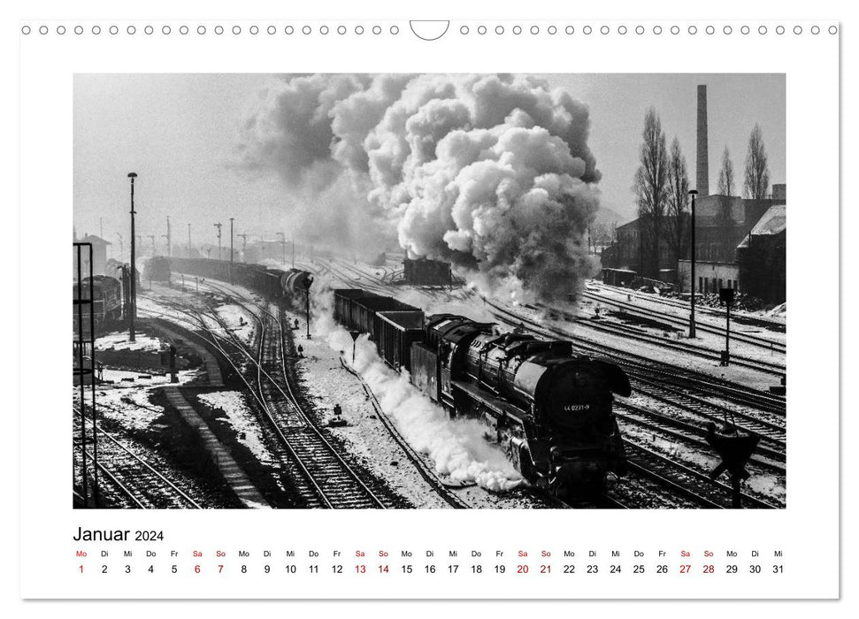 Series 44.0 in use (CALVENDO wall calendar 2024) 