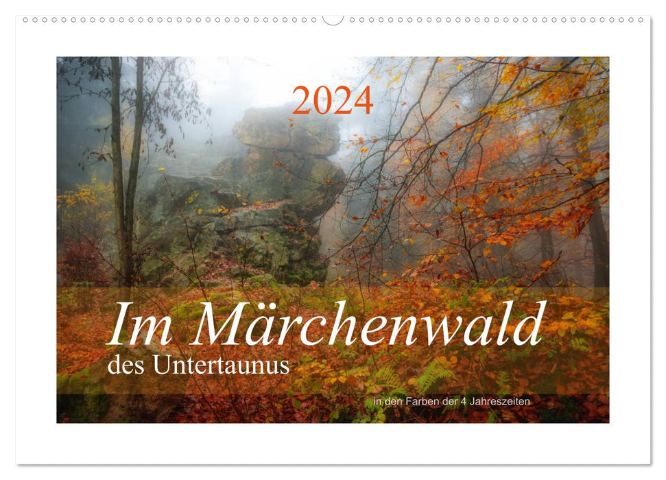 Im Märchenwald des Untertaunus (CALVENDO Wandkalender 2024)