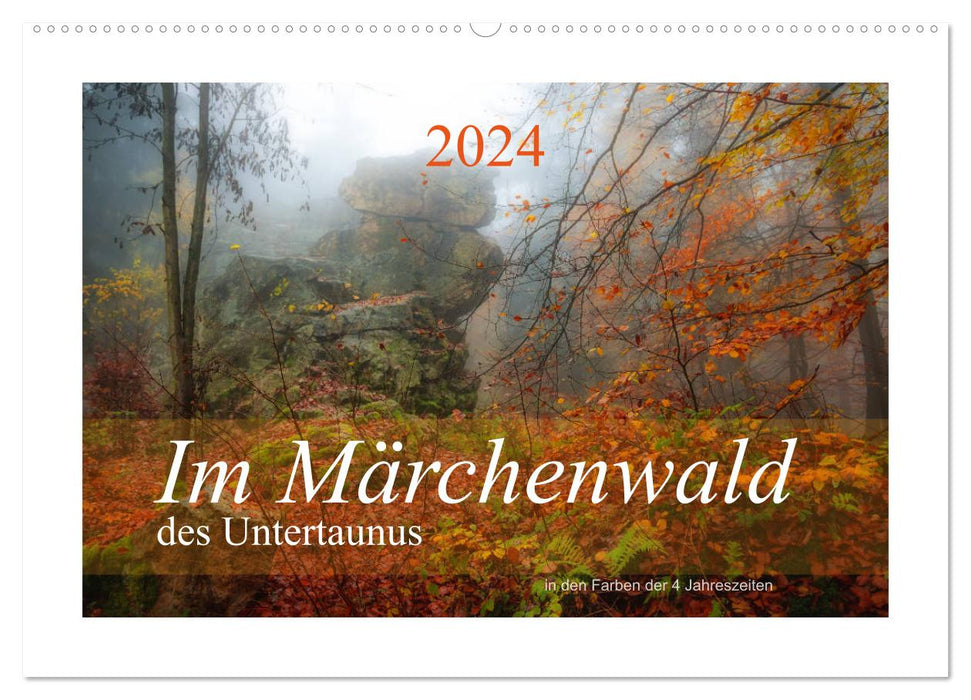 In the fairytale forest of the Untertaunus (CALVENDO wall calendar 2024) 