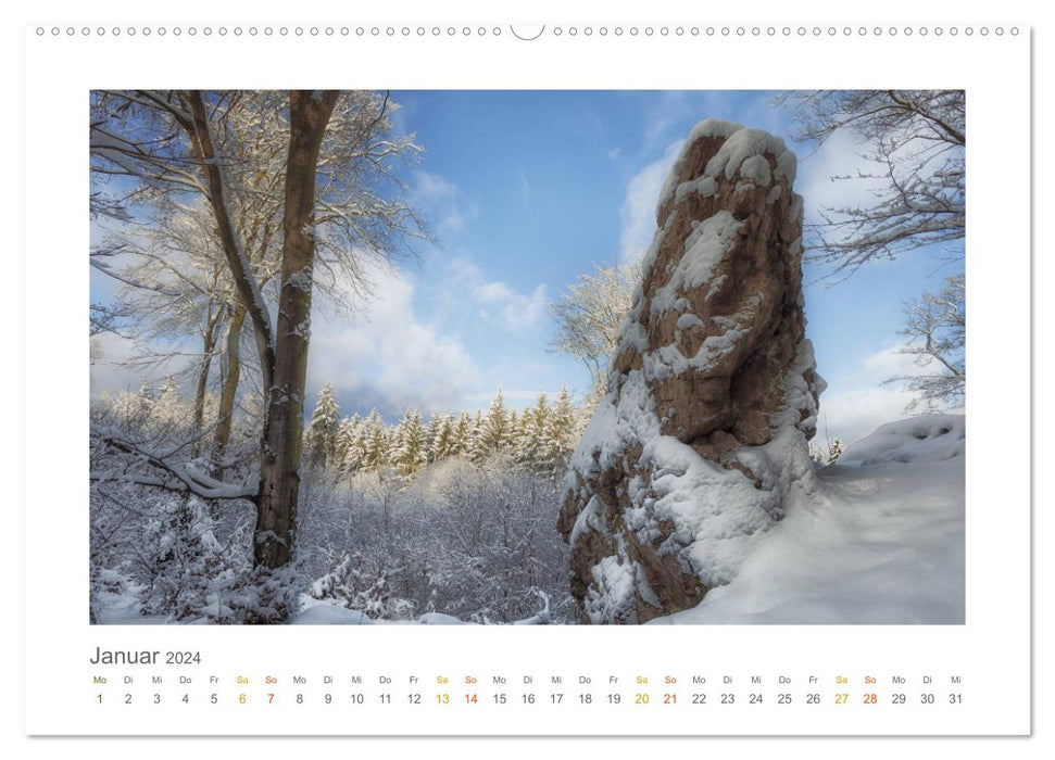 In the fairytale forest of the Untertaunus (CALVENDO wall calendar 2024) 