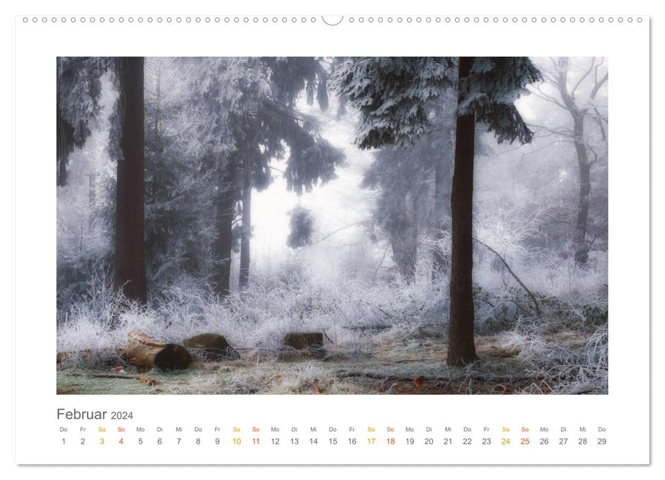 In the fairytale forest of the Untertaunus (CALVENDO wall calendar 2024) 