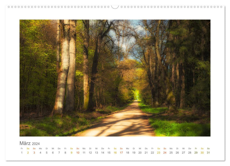 In the fairytale forest of the Untertaunus (CALVENDO wall calendar 2024) 