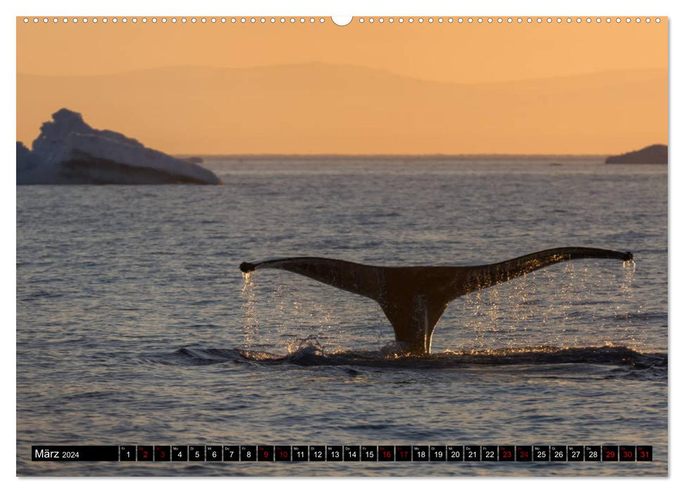 GREENLAND Icefjord and Disko Bay (CALVENDO wall calendar 2024) 