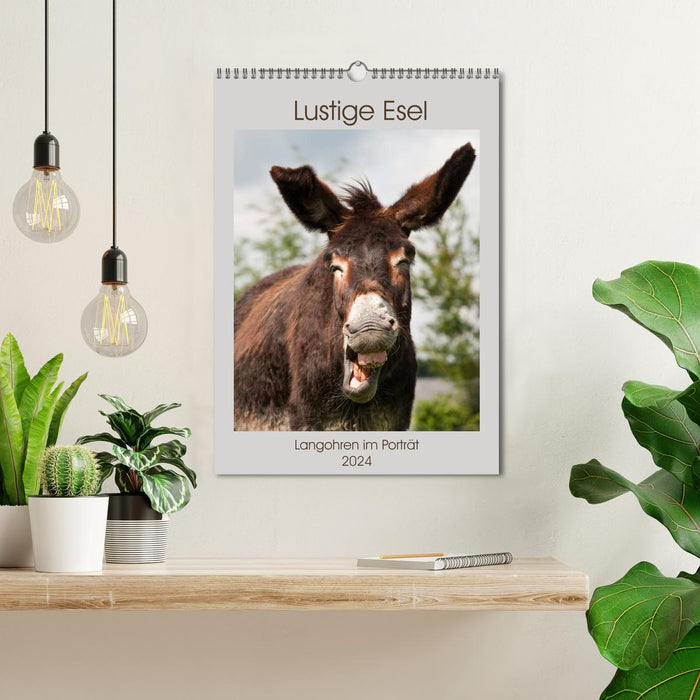 Lustige Esel - Langohren im Porträt (CALVENDO Wandkalender 2024)